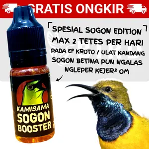 KAMISAMA SOGON BOOSTER Vitamin Burung ATP Adenosine Triphosphate Kolibri Konin Sogon