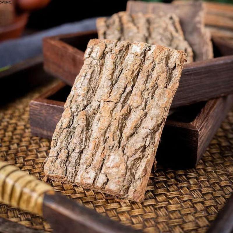 SPUNO 5PCS Turtle Hideouts Natural Wood Reptile Climbing Bar - TikTok ...