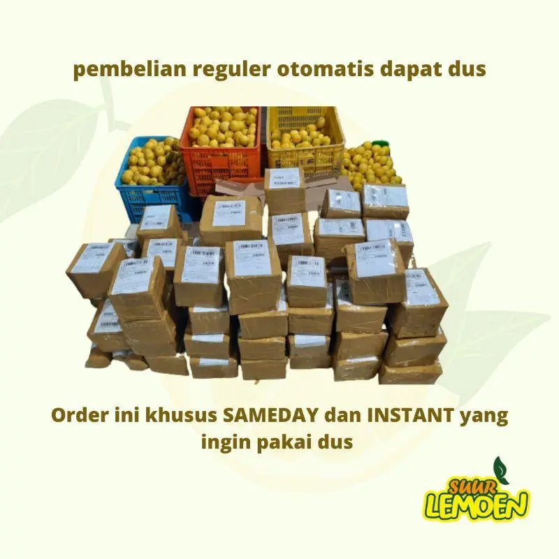 Bubble wrap dan Dus Ekstra le olshop1 1