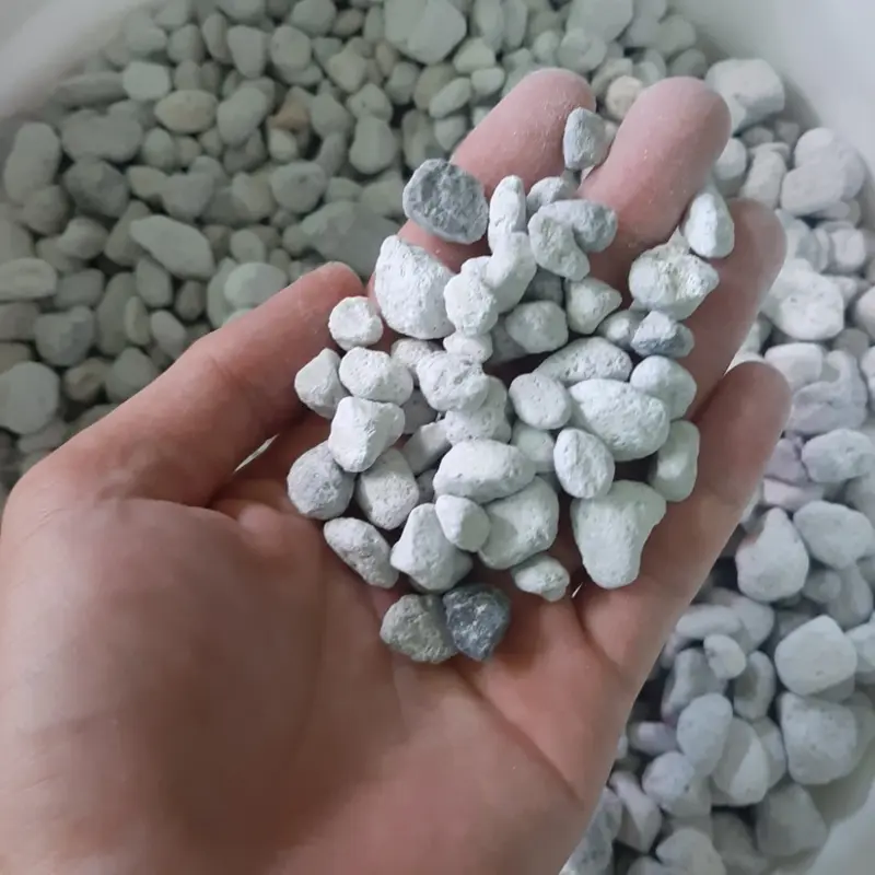 1 Lít Matrix Seachem - Vật Liệu Lọc cho Bể Cá - Hồ Thuỷ Sinh 3