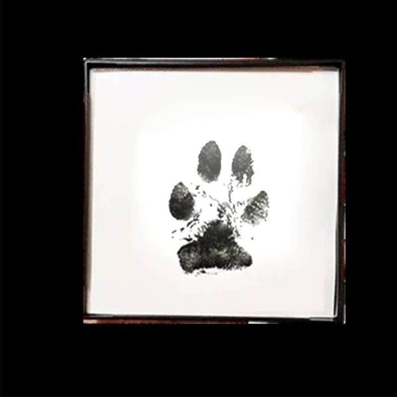 Product Introduction of Pet Footprints No-Rinse Stamping Oil Pet Footprint Stamps X5B3 40