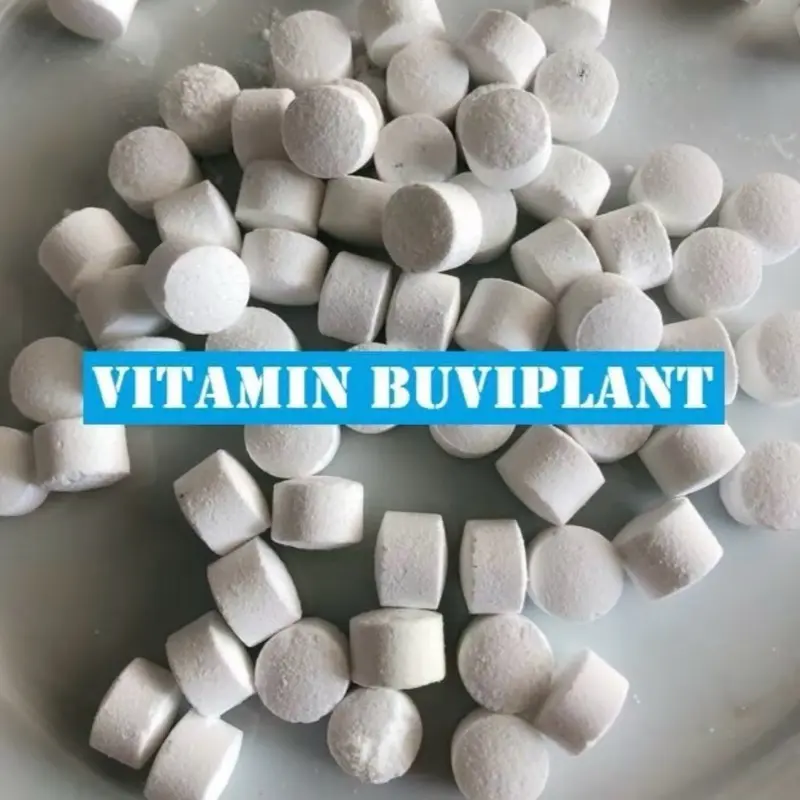 Viên Vitamin Buviplant cho cây trồng - Cung cấp đầy đủ dinh dưỡng, giúp cây tăng đề kháng và lâu tàn