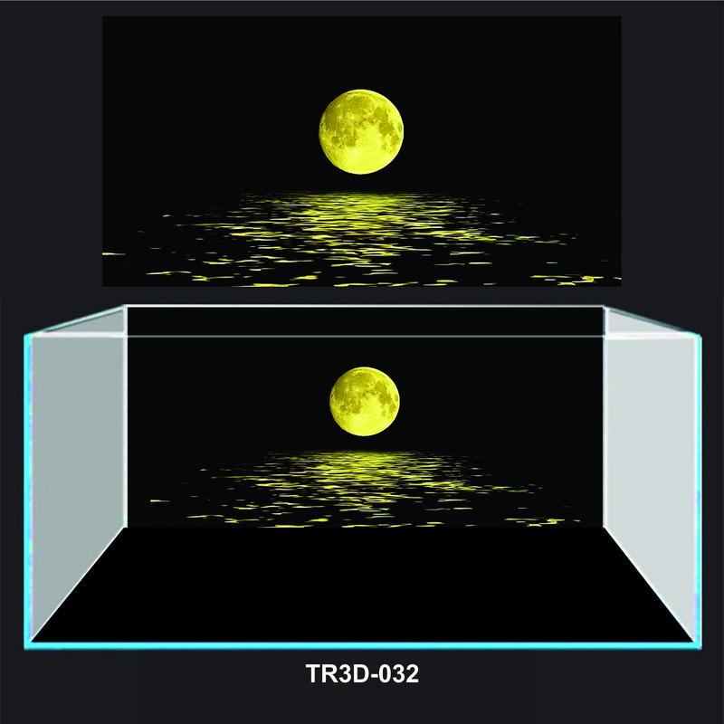  TRANH 3D DÁN BỂ CÁ MẪU ÁNH TRĂNG  TR3D-032  