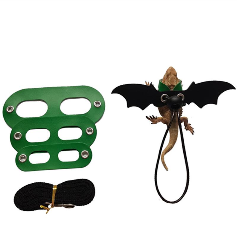 Product Introduction of 2025 Reptile Pet Lizard Leash with Wings Squirrel Harness Chinchilla Leash Green Gecko Lizard Guinea Pig Outdoor Leash 17