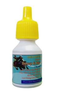 Tăng Trưởng Sắc Tố Lá Thủy Sinh Hiệu Quả Sau 3 ngày Hồ Hà lan - Burep - Ráy Nana