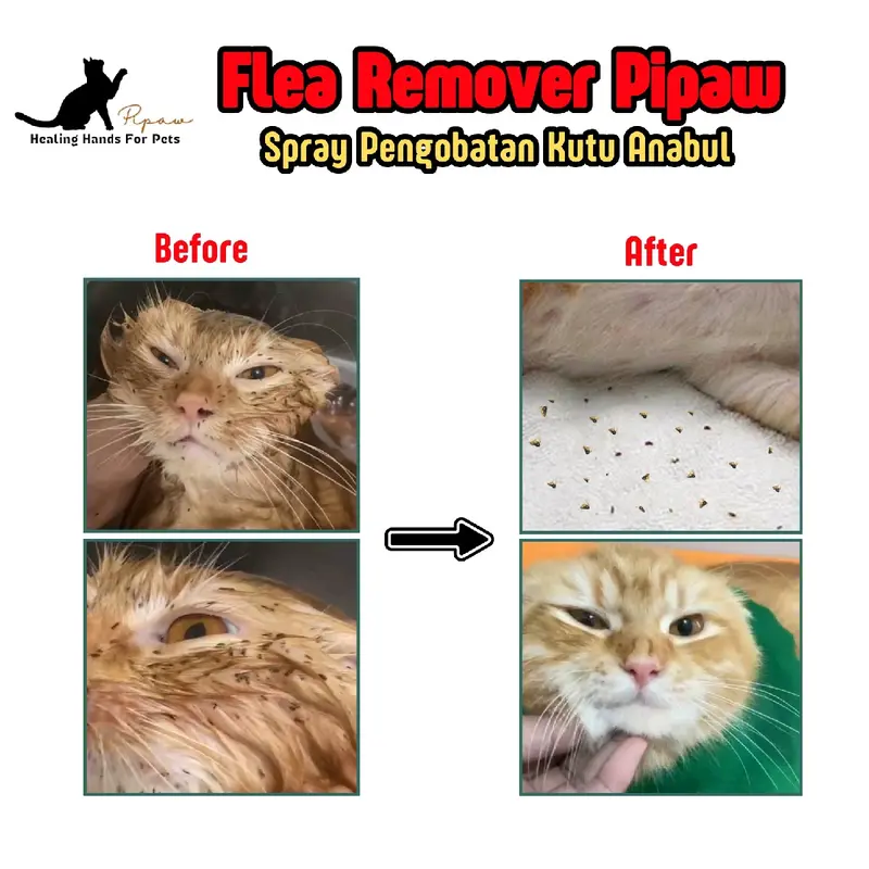 Flea Remover Pipaw - Obat Kutu Anabul 250 ml 2