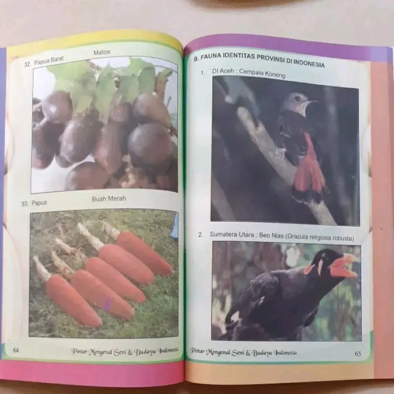 Buku Pintar Mengenal Seni Dan Budaya 34 Provinsi Di Indonesia books 5