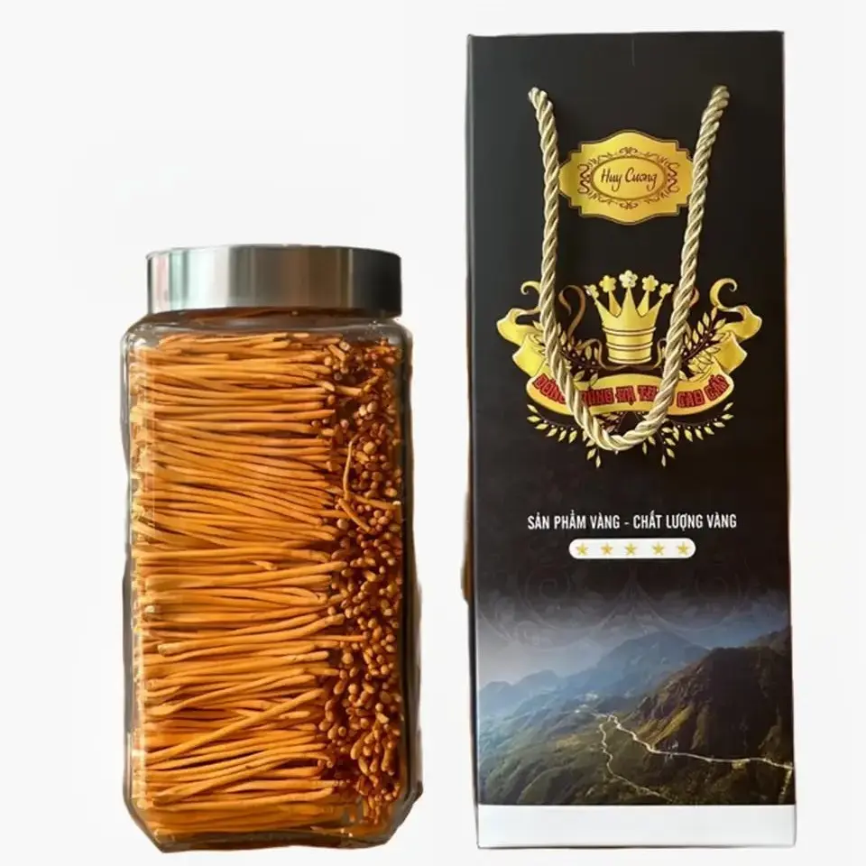 Đông trùng hạ thảo Huy Cương sấy thăng hoa víp 1 hộp50g