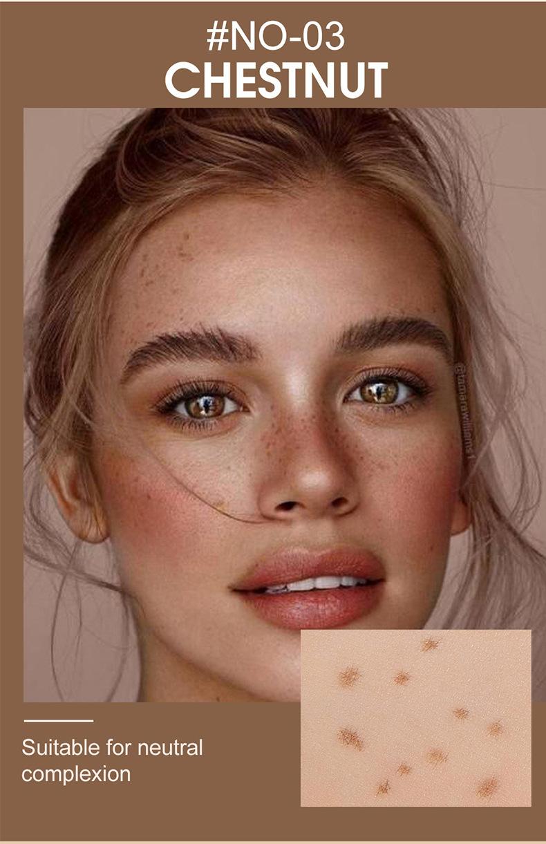 Product Introduction of Trendy Natural Concealer Pen, Long-lasting Makeup Spot Fading Pen for Freckles 4
