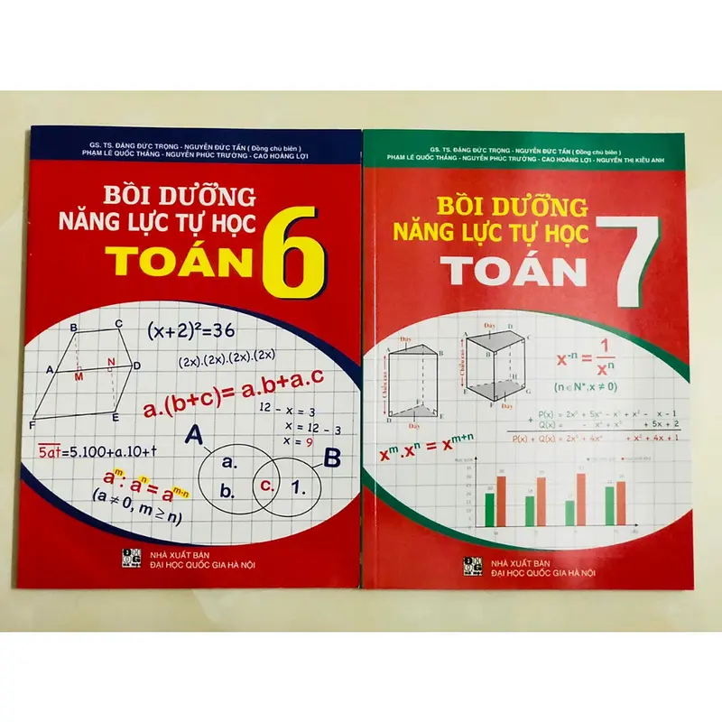 Sách - Combo bồi dưỡng năng lực tự học toán ( lớp 6 + lớp 7 ) 1