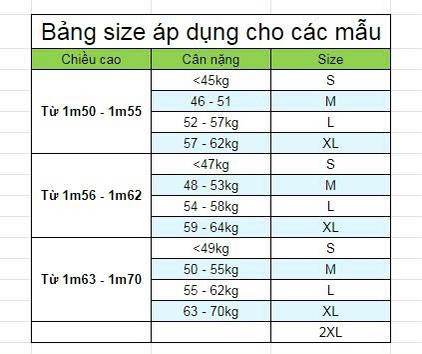 Product Introduction of Set bbr 3 món áo sơ mi dài tay chân váy xếp ly kèm khăn Top Dress Women 0