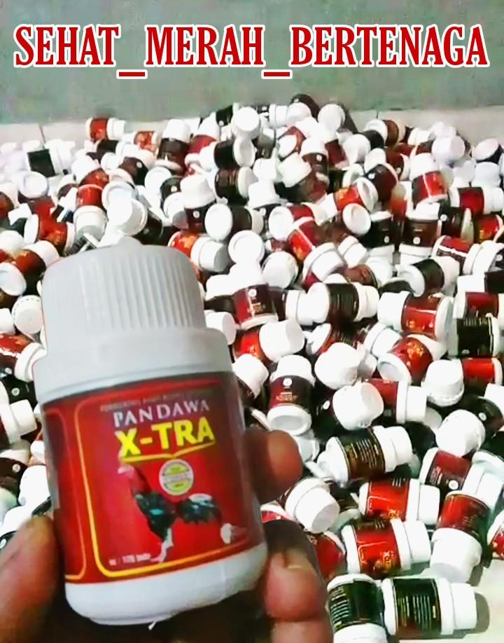 Product Introduction of Jamu jago PANDAWA X-TRA 175pill 1