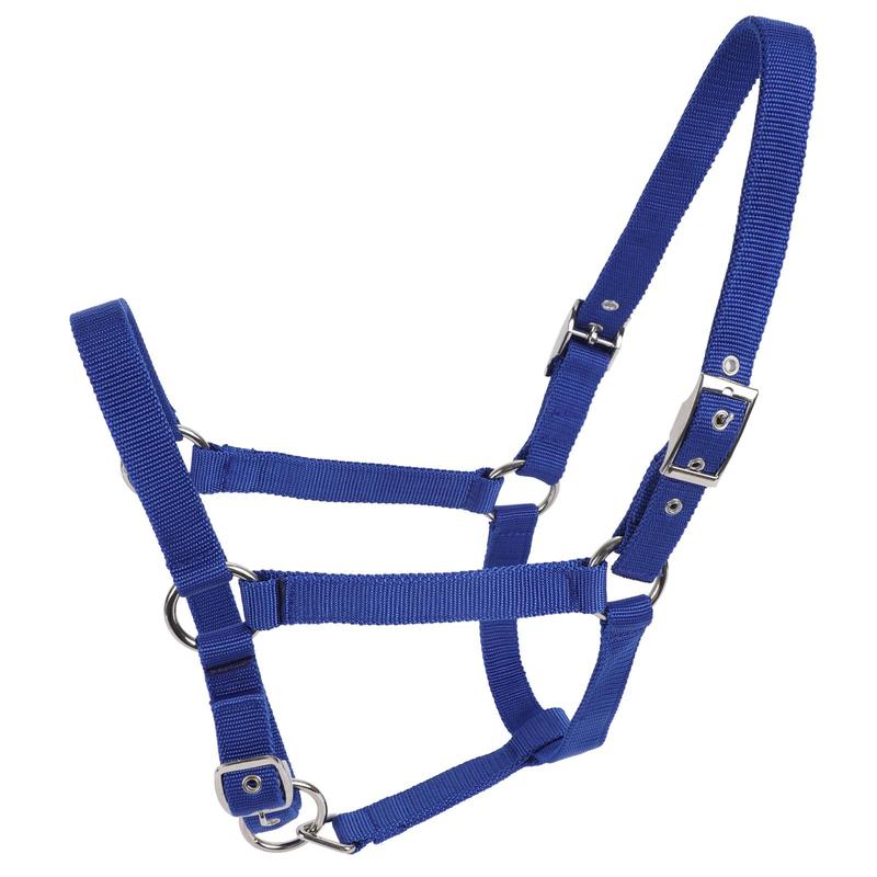 Product Introduction of Adjustable Horse Halter, Soft Comfortable Horse Head Strap, Professional Equestrian Equipment for Horse Riding, Outdoor Riding Accessories 3