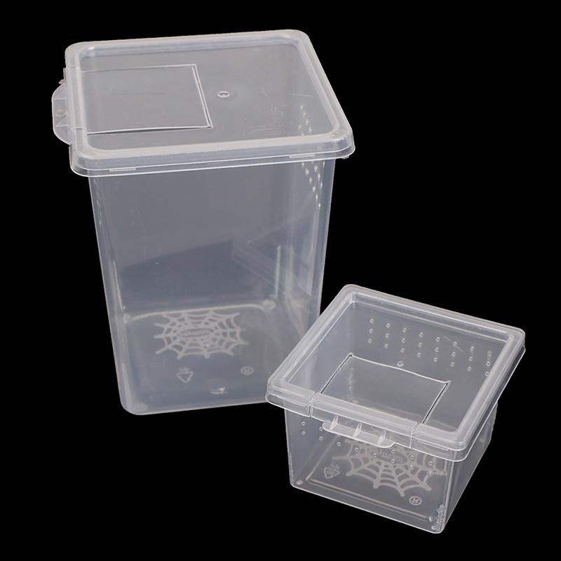 Product Introduction of Plastic Insect Spider Habitat Feeding Box Case Container Tank Transport Case Toy 12