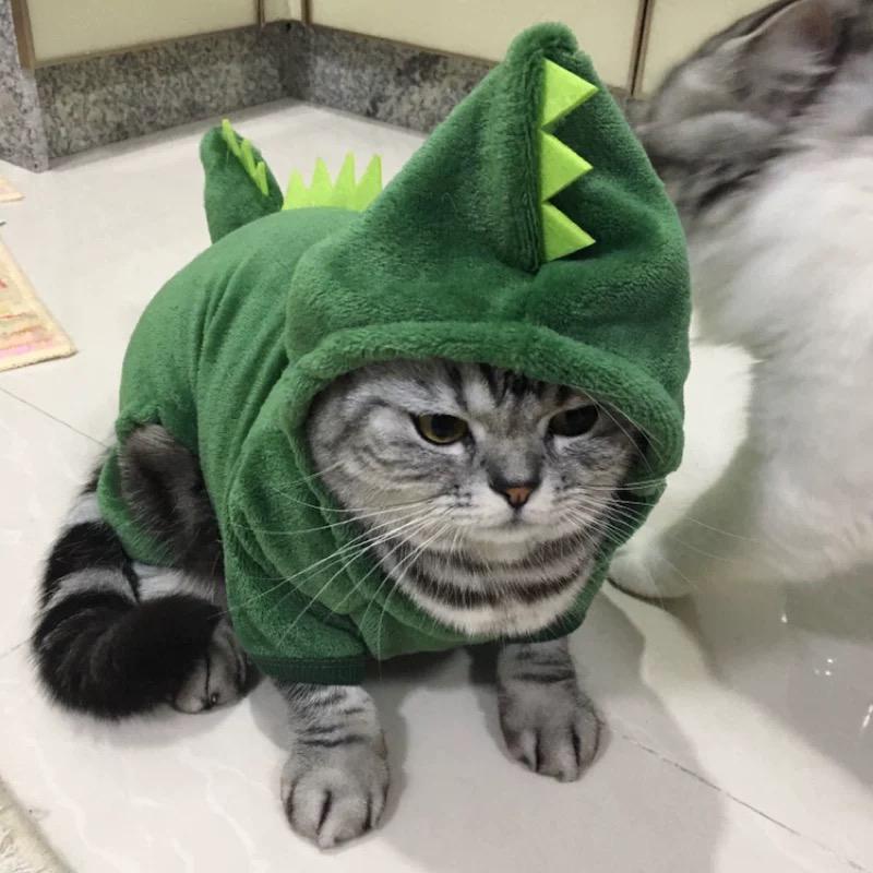 Product Introduction of Pet Dog Clothes Small and Medium-Sized Dogs with Velvet Dinosaur Pet Cat Clothes 20