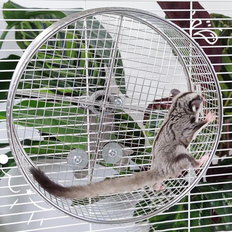 Hamster Running Exercise Wheel for Gerbils Rats Mice Activity Anti Slip Mute 4