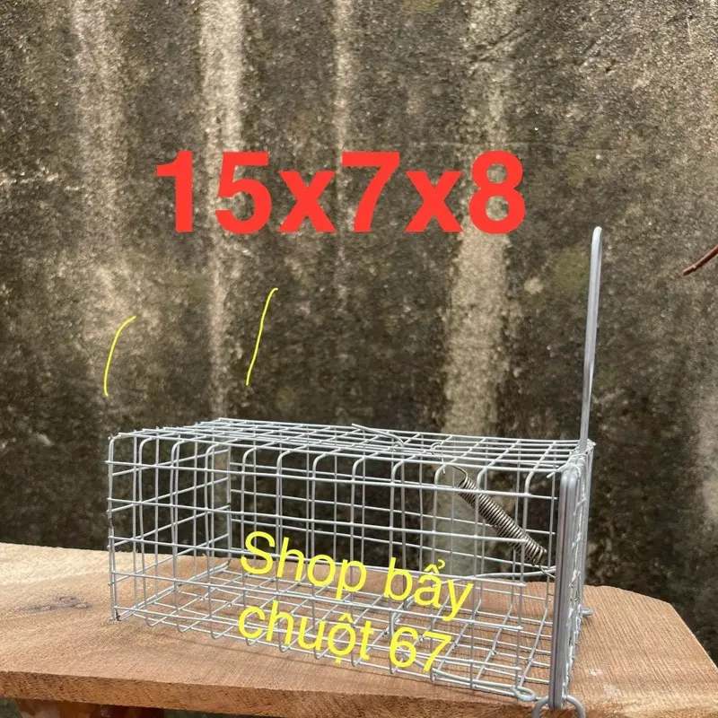 Combo 20 lòng chuột  đường mòn lưới 21 15x7x8cm