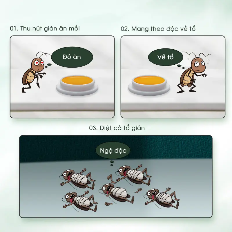 Viên trị gián sinh học AMB, Viện Hàn lâm khoa học Việt Nam, diệt tận gốc tất cả các loại gián, hiệu quả, an toàn Nhang xịtổgián Household Cleaners vien  xa 5