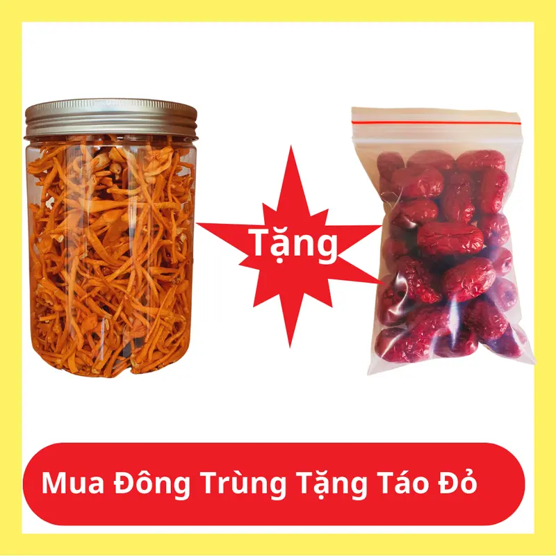 2.0G Đông Trùng Hạ Thảo Khô Tặng Táo Đỏ 0