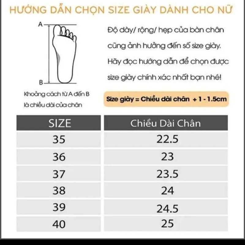 Product Introduction of giày thể thao nữ chữ s đen cao 9cm hách dáng tăng chiều cao , rất đễ đi Shoes Sneaker 0