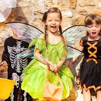 Gambar Elf Wing Butterfly Fairy Wings Sayap Peri Anak Transparan Hologram Kostum Karnaval Cosplay Pesta Foto Performance Anak Dewasa - Putih dari sovella.id. Kota Cimahi 3 Tokopedia