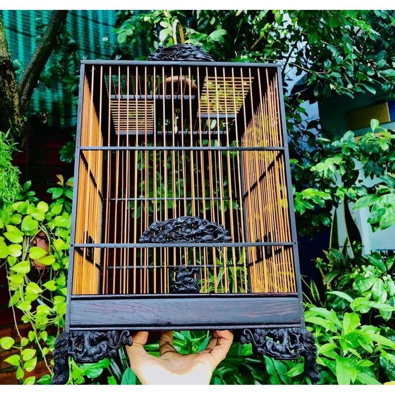 Khung Lồng Chim Hút Mật, Khuyên, Ốc Mít, Gỗ Mun Đục Vuông Cao, Chữ Nhật - Tặng Kèm Dầu Ủ Lồng