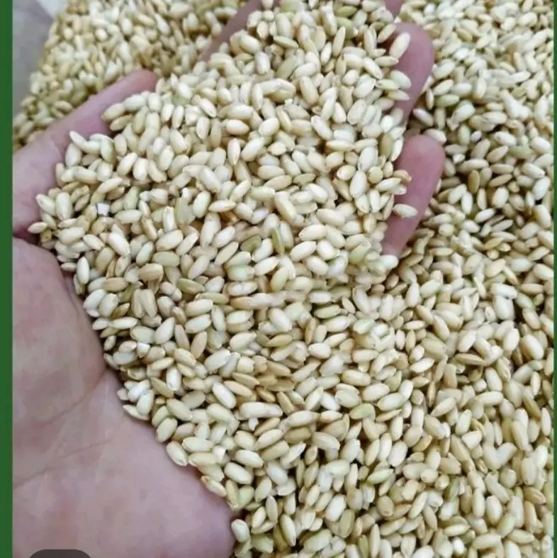 Gạo lứt nếp cái hoa vàng 1kg 1