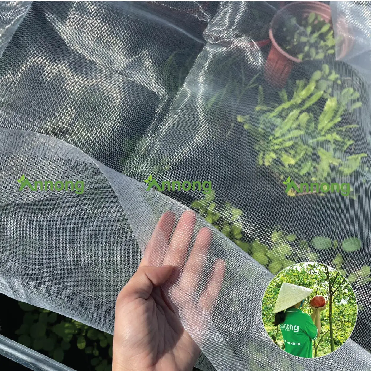 Lưới Ngăn Côn Trùng Trồng Rau Sạc, Lưới UV 22 mesh