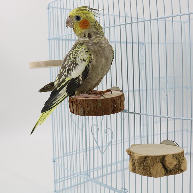Product Introduction of Apple wooden parrot bird perch frame platform round 4