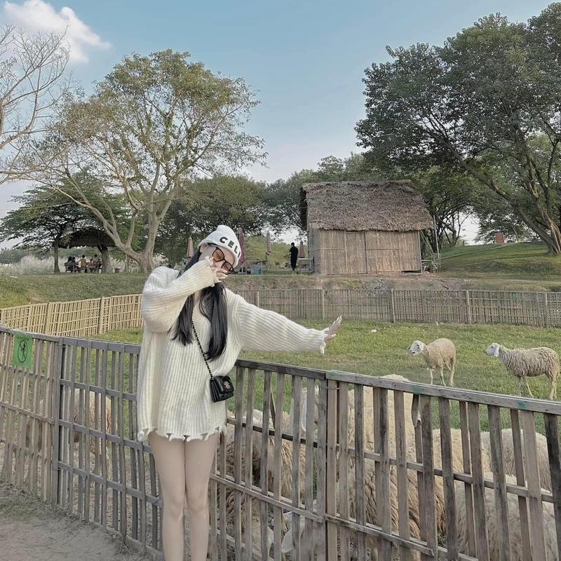 ÁO LEN QC CỔ TIM RÁCH TÀ CÁ TÍNH DỄ PHỐI ĐỒ Nữ Sò Dài Tay áo sweater croptop Women Kem