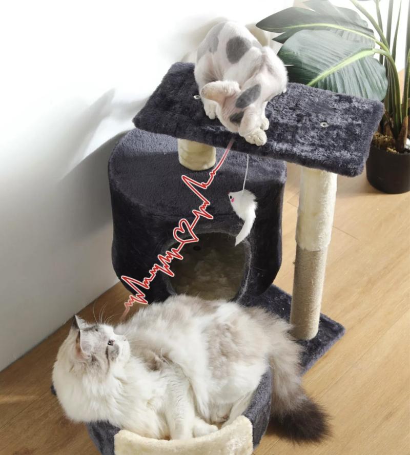 Product Introduction of Ready to ship 2-story cat condo, cat climbing frame ‼️ Cat condo, cat scratching post, cat bed, cat toys, cheap cat condo # P122. 11
