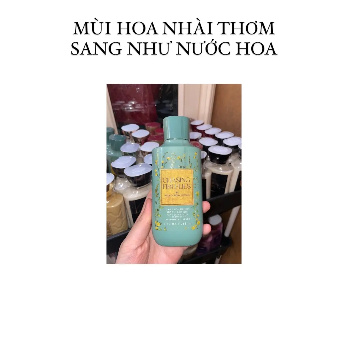 [ DƯỠNG THỂ & XỊT THƠM & SỮA TẮM  MÙI HOA NHÀI THƠM SANG NHƯ NƯỚC HOA TRONG TRUNG TÂM THƯƠNG MẠI BILL US