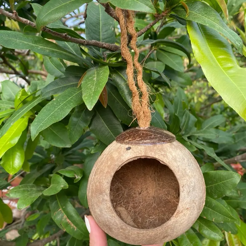 Nhà cho chim ở đây cô bác ơi 3