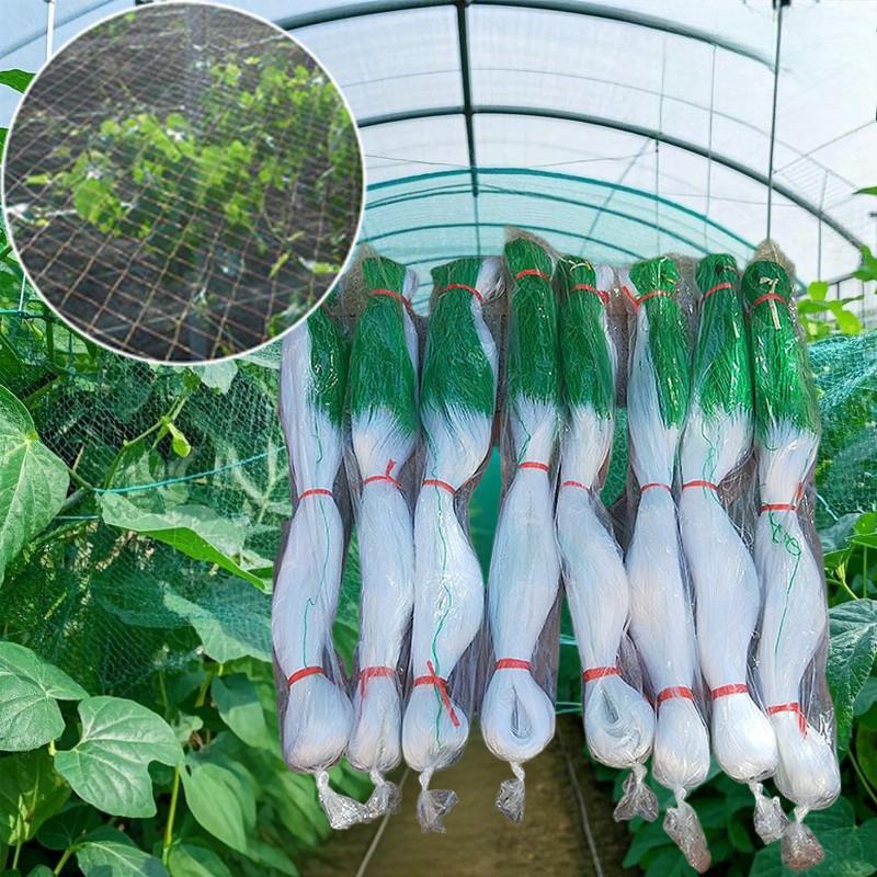 Giàn Lưới Hỗ Trợ Trồng Cây Dây Leo,Lưới giàn leo sân vườn,Lưới Trồng Cây,Lưới Làm Giàn Cây Leo: Dưa Chuột Khổ Qua Mướp Bầu Bí