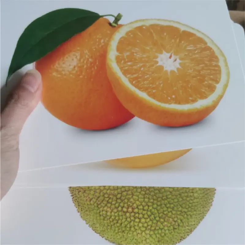 Bộ thẻ flash card học thế giới xung quanh , khổ A5 - 100 thẻ 5