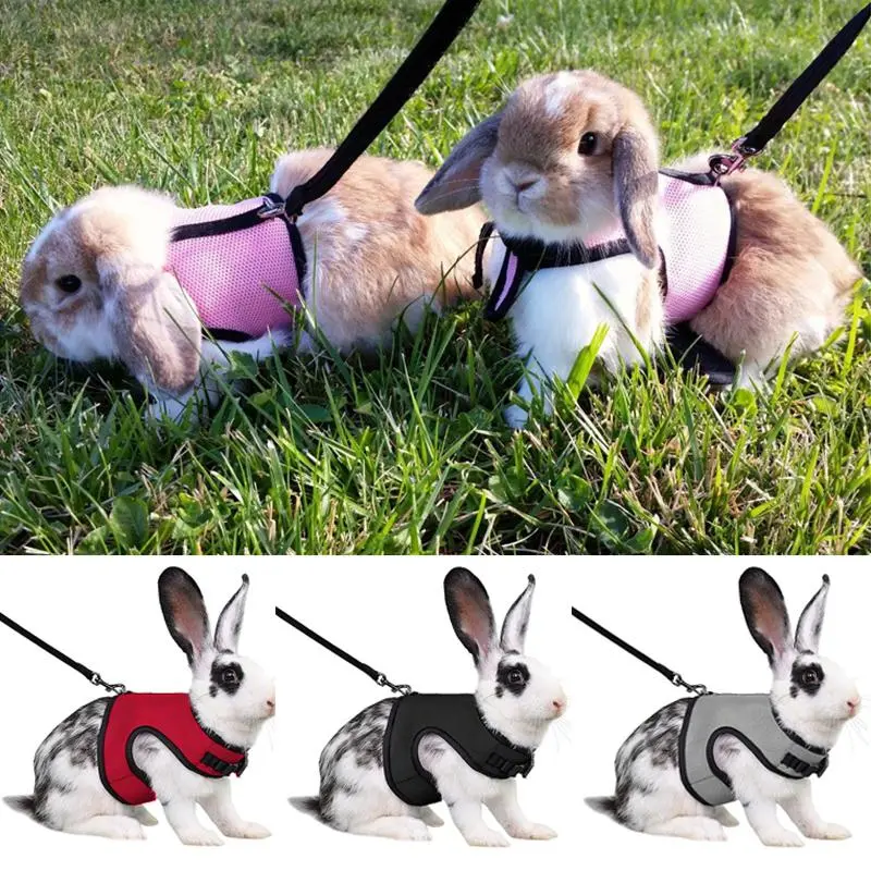 Latest Cute Rabbit Strap and Leash Set Rabbit Pet Supplies