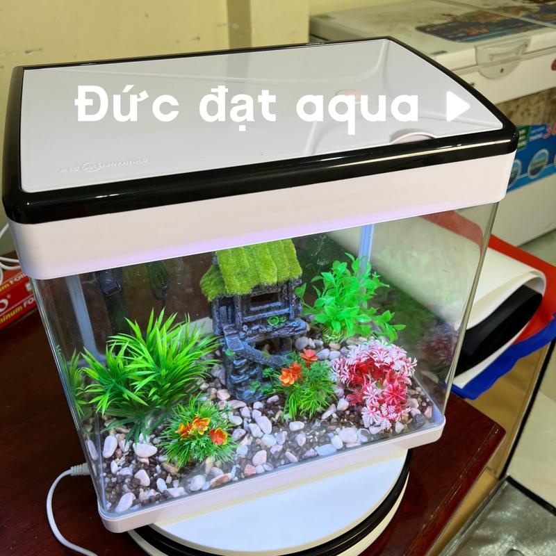 Bể cá MJ 260 đủ bộ đèn, máng lọc, máy lọc cho cá cảnh, bể đúc có nắp
