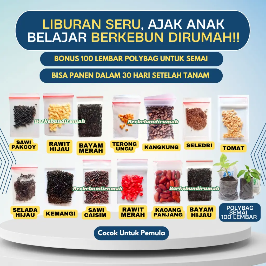 Paket 13 Benih Bonus Polybag 100 Lembar Mudah Tumbuh Untuk Pemula Dan Anak