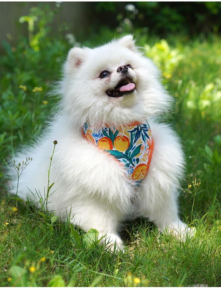 Product Introduction of Dog Harness for Outdoor Use, Breathable Vest for Small and Medium Dogs, Pet Walking Leash for Puppies, Corgis, Shiba Inus 11