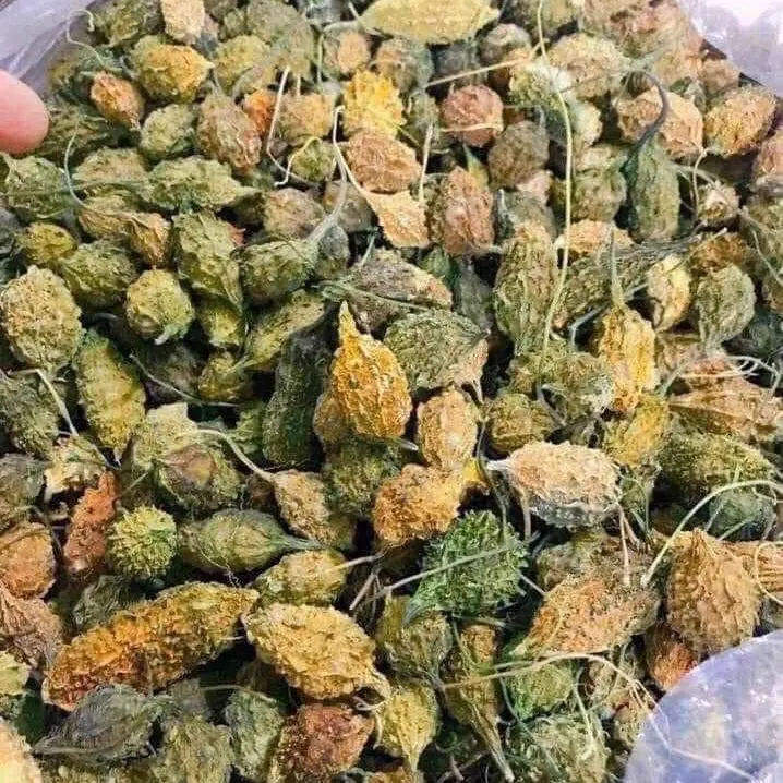 Khổ qua khô trái nhỏ