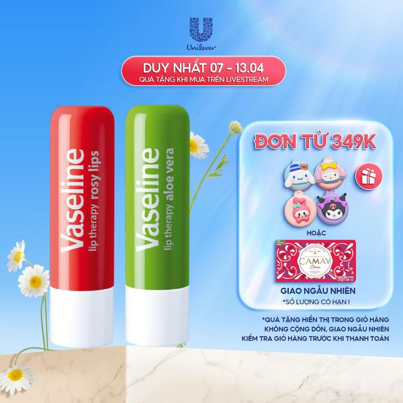 Combo 2 Son dưỡng môi Vaseline Lip Stick Lô Hội và Hồng Xinh (4.8g x2)