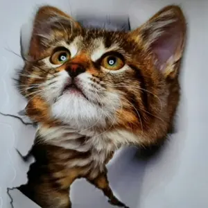 Stiker Mobil Motor Gambar kucing lucu 3D stickers hewan binatang nyata aksesoris eksterior dekorasi Car