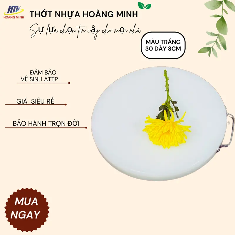 Thớt nhựa tròn 30x3cm nhựa nguyên sinh HDPE, hàng nguyên khối 2