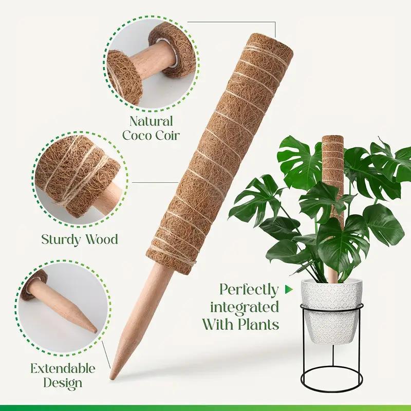 Coconut Shell Moss Rods, Plant Support Extension for Climbing Indoor Creeper, Garden Supplies for Home Garden, Home Supplies 5