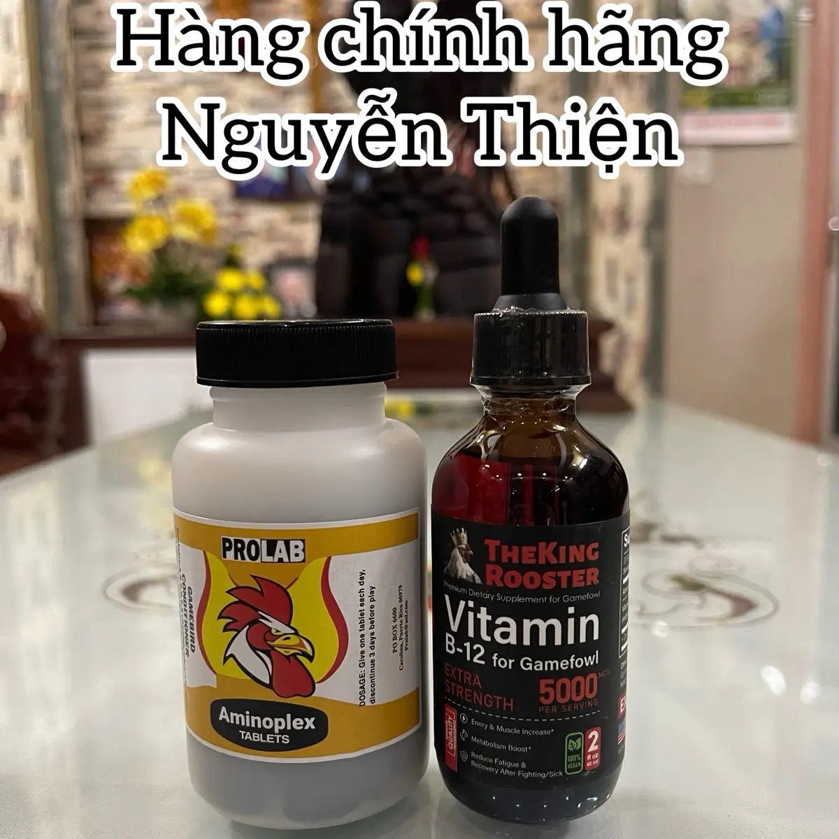 Combo thuốc nuôi đẳng cấp Vitamin B12 5000 60ml và Prolab Aminoplex 100 viên - giúp chiến kê sung hừng, tăng nạc tăng nước máu và bo lớn