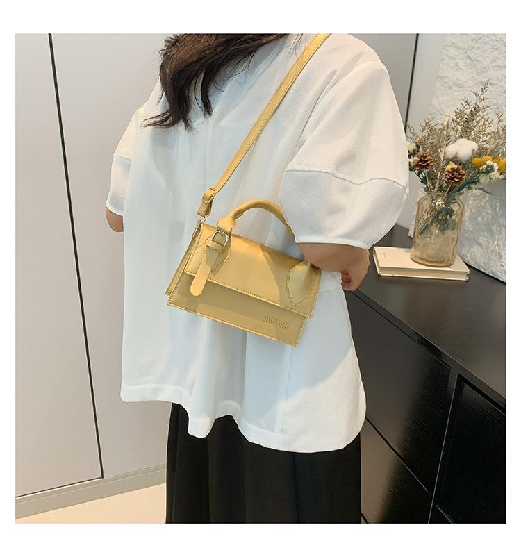 Product Introduction of Túi Xách Thường Ngày Xu Hướng Mới, Phong Cách Cổ Điển Phong Cách Châu Âu Và Mỹ Phương Tây, Có Phấn Phủ Thời Trang, Phần Cứng Chữ Cái, Túi Đeo Vai, Dành Cho Nữ, 2024 23