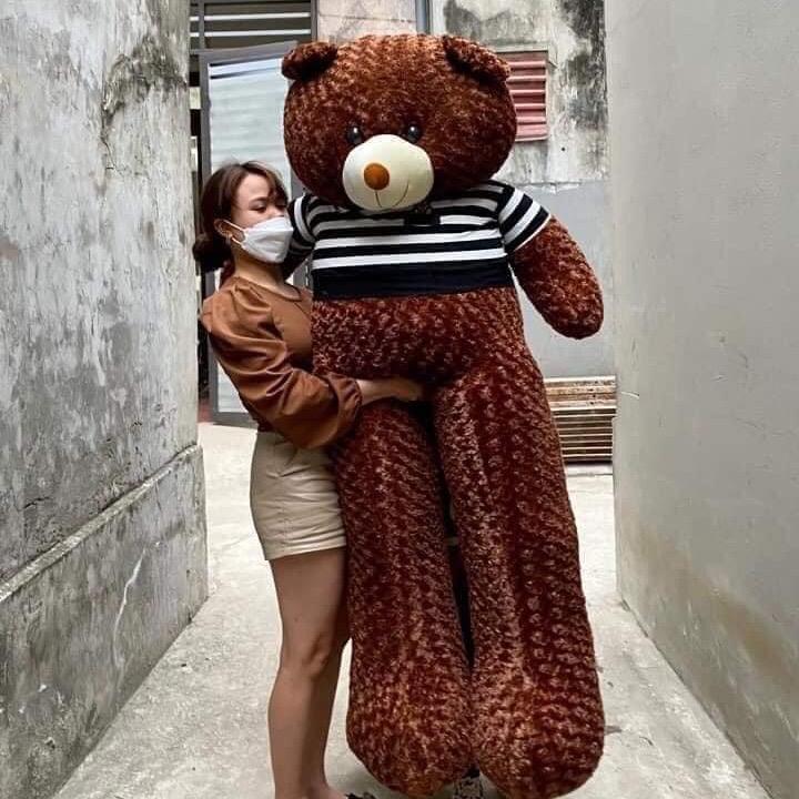  Gấu Bông Teddy - Gối Ôm Hình Thú Teddy Nâu Bự Khổng Lồ Siêu Đáng Yêu Giá Rẻ Thú Bông Toy Thú Nhồi Bông Đồ Chơi 