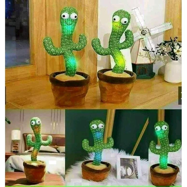 Xương rồng nhảy múa phát nhạc