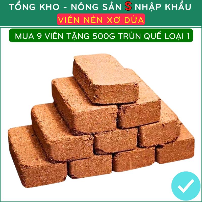 Combo 9 Viên Nén Xơ Dừa Mua 9 Tặng 2 – Giữ Ẩm, Kích Rễ, Trồng Cây Hiệu Quả