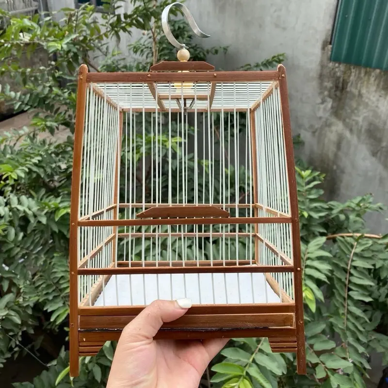 ￼Lồng hút mật, Khuyên Khung lồng Khuyên, hút mật tự ráp Dáng Thái Khung Trúc Nan Cáp, Nan trúc già ráp sẵn 2 mặt giá rẻ 3